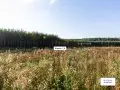 ЖК Богдановский лес - сентябрь 2023