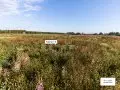 ЖК Богдановский лес - сентябрь 2023