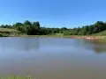 Купить коммерческие земли, 450 соток, Шихово д, Московская обл - фотография №2