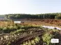 ЖК Богдановский лес - сентябрь 2023