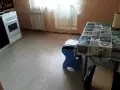Аренда 1-комнатной квартиры, 52 м²