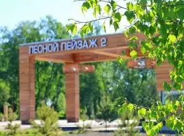 КП Лесной пейзаж 2