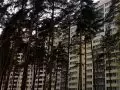 Купить квартиру, 33 м², Раменское г., Высоковольтная ул., 22, Московская область - фотография №22