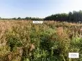 ЖК Богдановский лес - сентябрь 2023