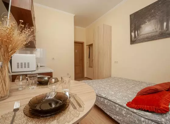 Аренда 1-комнатной квартиры, 20 м²