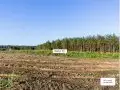 ЖК Богдановский лес - сентябрь 2023