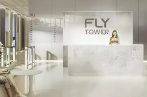 Архитектурный проект Fly Tower (Флай Тауэр)