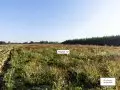 ЖК Богдановский лес - сентябрь 2023