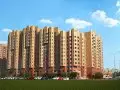 Купить 3-комнатную квартиру, 52.4 м², Домодедово, улица Рабочая, 59, Московская область - фотография №12