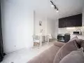 Аренда 1-комнатной квартиры, 45 м²