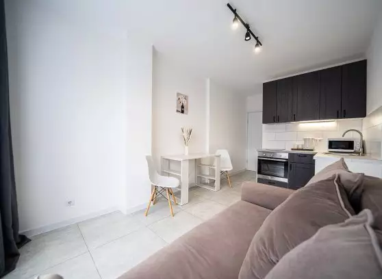 Аренда 1-комнатной квартиры, 45 м²
