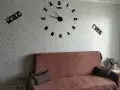 Купить 2-комнатную квартиру, 50 м², Нижнее Мячково д, Московская обл - фотография №2