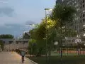 Купить 1-комнатную квартиру, 24.8 м², Одинцовский городской округ, бульвар Эйнштейна, 5, Московская область - фотография №13