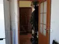 Купить 1-комнатную квартиру, 38.2 м², Люберцы, Барыкина ул, 10/2, Московская обл - фотография №4