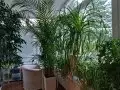 Купить 3-комнатную квартиру, 115 м², Москва, Ландышевая ул, 14К3 - фотография №7