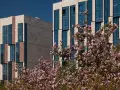 Купить 3-комнатную квартиру, 80 м², Заречье рп, Заречье рп, Весенняя ул., Московская область - фотография №20