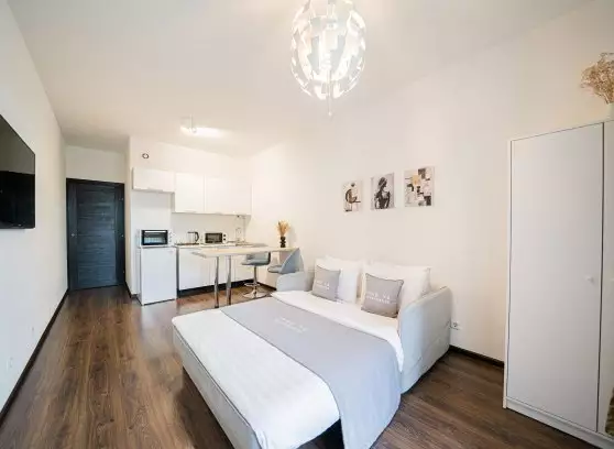 Аренда 1-комнатной квартиры, 28 м²