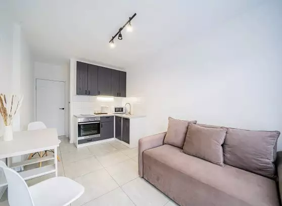 Аренда 1-комнатной квартиры, 45 м²