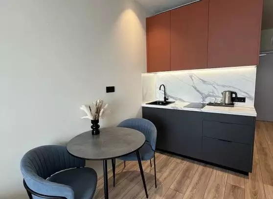 Аренда 1-комнатной квартиры, 28 м²