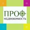 АН ПРОФ НЕДВИЖИМОСТЬ