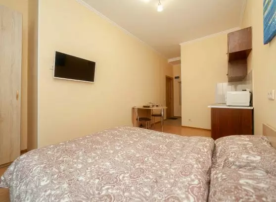 Аренда 1-комнатной квартиры, 20 м²