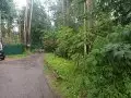Купить земельный участок, 9 соток, Барвиха д, ДПК Новь, 88, Московская обл - фотография №4