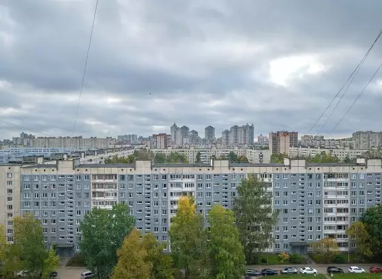Продажа 1-й комнаты, 246.8 м²