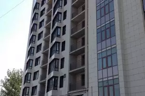 ЖК Пушкинская, 55/1