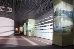 Бизнес и элит-класс: разница неочевидна