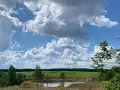 Купить коммерческие земли, 450 соток, Шихово д, Московская обл - фотография №7