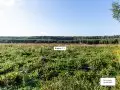 ЖК Богдановский лес - сентябрь 2023