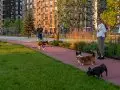 Купить 1-комнатную квартиру, 42.2 м², Москва, Волоколамское шоссе, 71/11 - фотография №8
