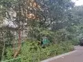 Купить 1-комнатную квартиру, 33 м², Люберцы, Люберцы, Куракинская у, Московская обл - фотография №12
