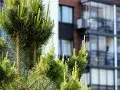 Купить 1-комнатную квартиру, 37.5 м², деревня Красный Посёлок, улица Фадеева, 10, Московская область - фотография №33