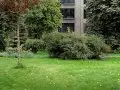 Купить 6-комнатную квартиру, 250 м², Москва, Большая Полянка улица, 44 - фотография №22