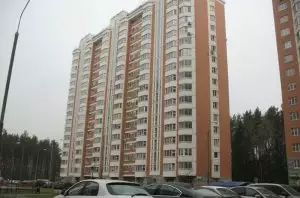 ЖК в мкр. Щитниково, корп. 24 (г. Балашиха)